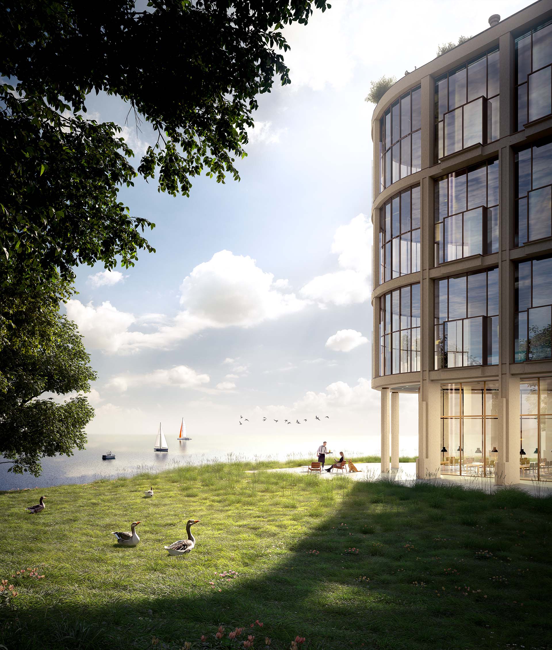 Veganes See-Hotel mit natürlicher Uferwiese, Segelbooten und nachhaltigem Architekturkonzept.